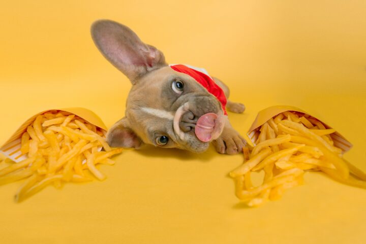 Fresh french fries and customer